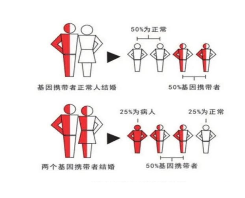地贫知识一